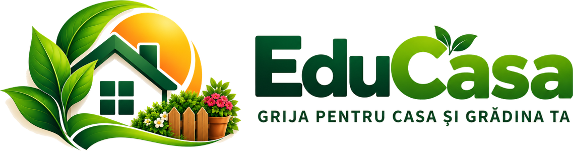 Magazinul meu
